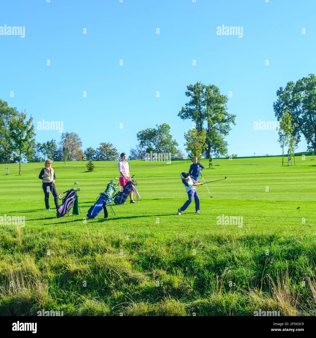 Un gruppo di golfisti si rilassa sul fairway. Golf, uno sport di svago comunicativo ... Foto Stock