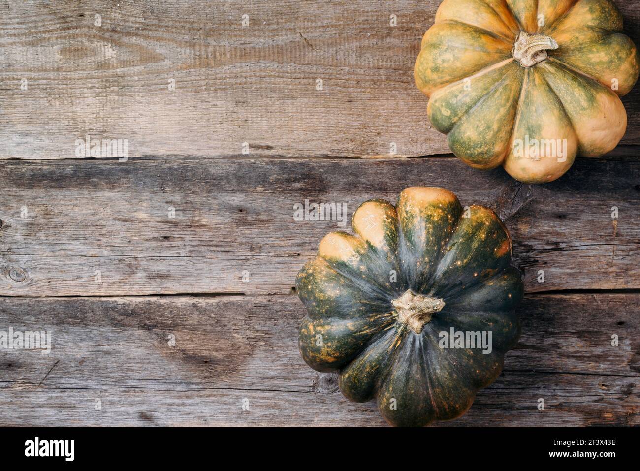 Zucca d'autunno biologica su sfondo di legno. Vista dall'alto. Spazio di copia. Fiera del raccolto di autunno. Giorno di ringraziamento. Autunno accogliente in oro. Foto Stock