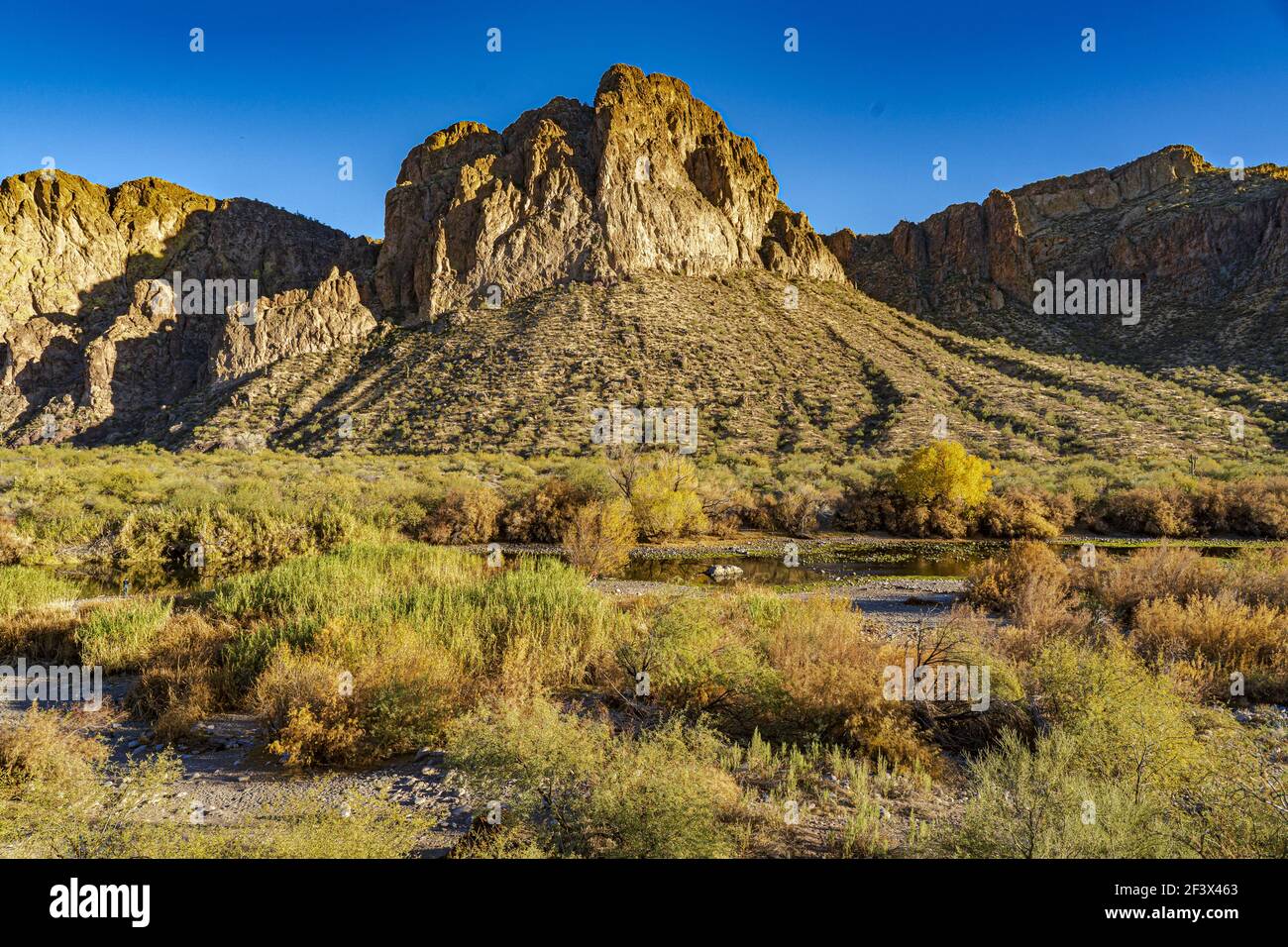 Una splendida vista sul fiume Salt che attraversa il fiume valle nel deserto dell'Arizona con montagne rocciose Foto Stock