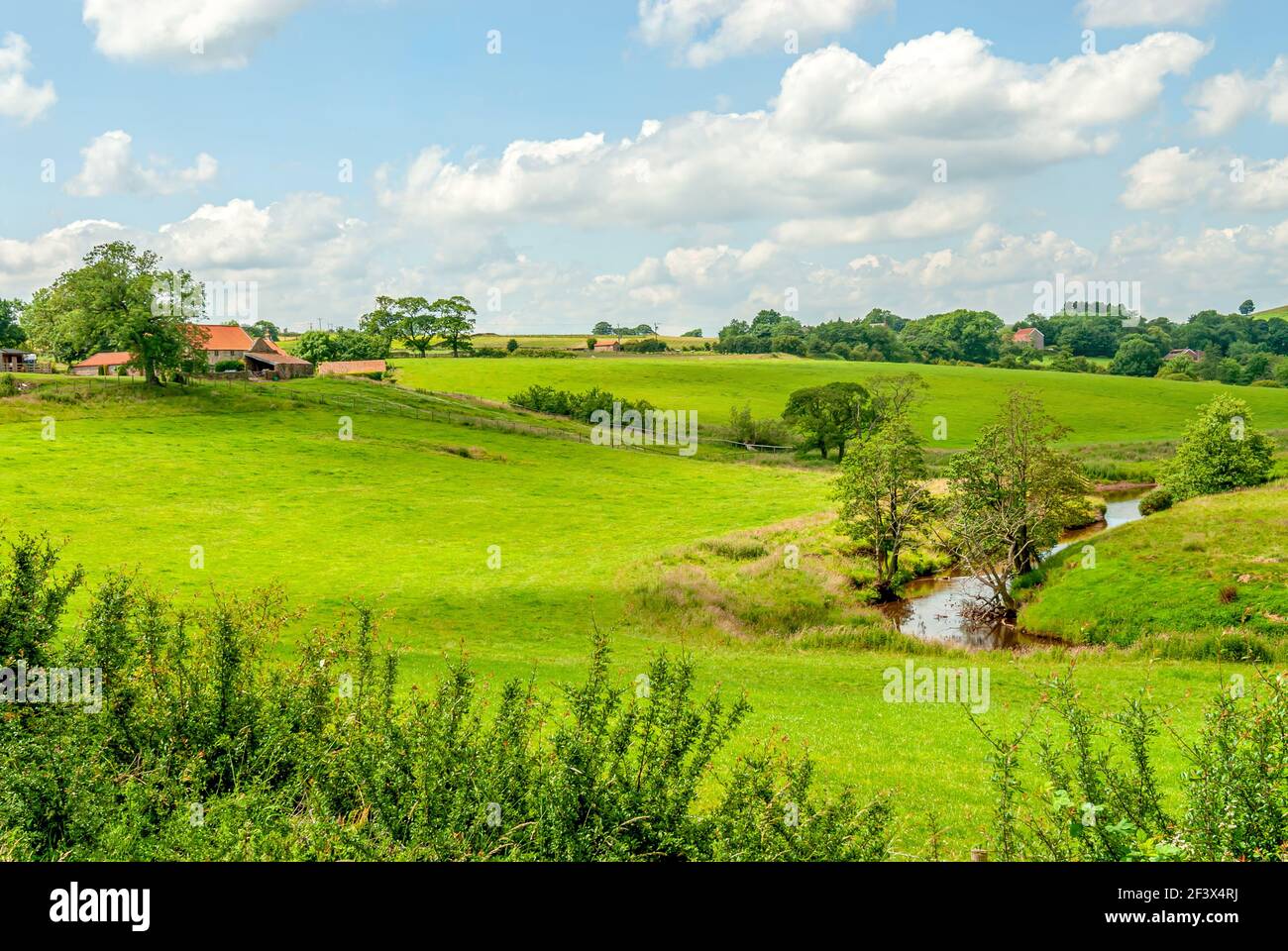 Paesaggio paesaggistico delle brughiere a North York Moors o North Yorkshire Moors nel North Yorkshire, Inghilterra Foto Stock