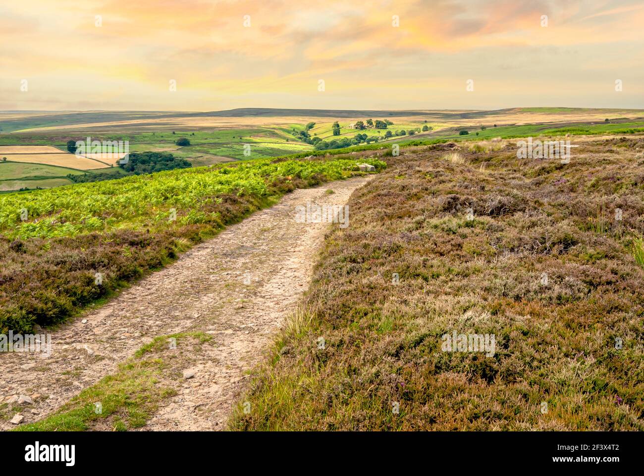 Backcountry Street in un tramonto a North York Moors, Inghilterra, Regno Unito Foto Stock