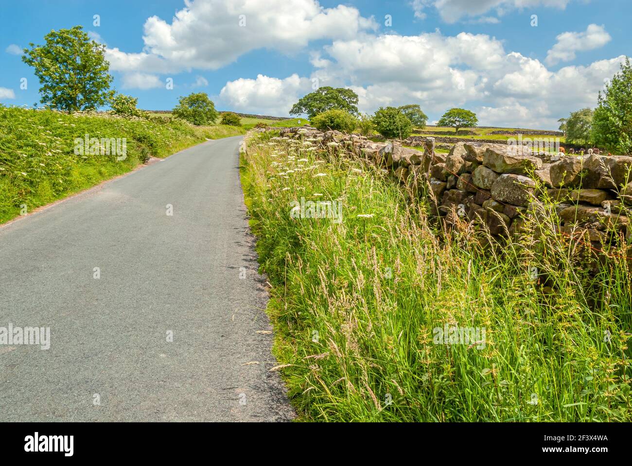 Backcountry strada lungo un muro di pietra a secco in un paesaggio estivo a North York Moors, Inghilterra, Regno Unito Foto Stock