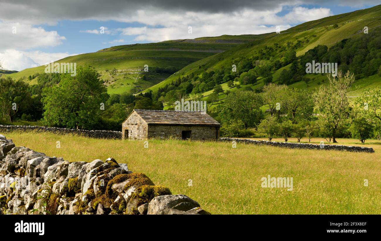 Bella campagna soleggiata Wharfedale (valle, colline, fienile campo, muri a secco, pascoli agricoli, High Hills) - Yorkshire Dales, Inghilterra, Regno Unito. Foto Stock