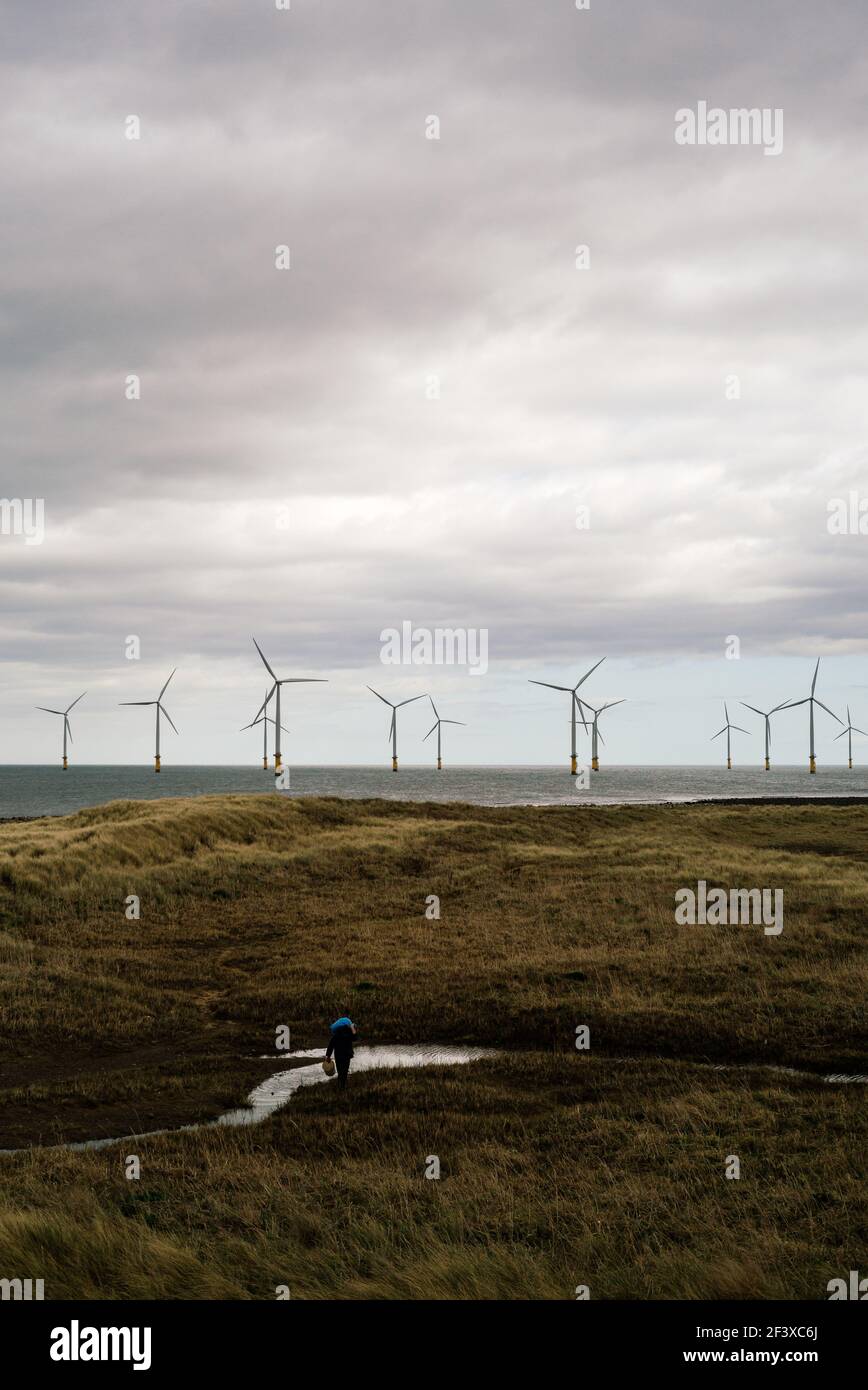 Una persona, forse un pickle picker che cammina indietro attraverso le dune di sabbia dalla spiaggia, con la fattoria di vento offshore in background. Foto Stock