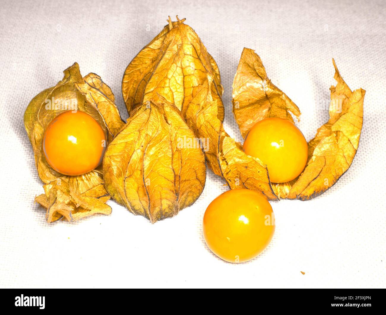 Ribes del capo Foto Stock