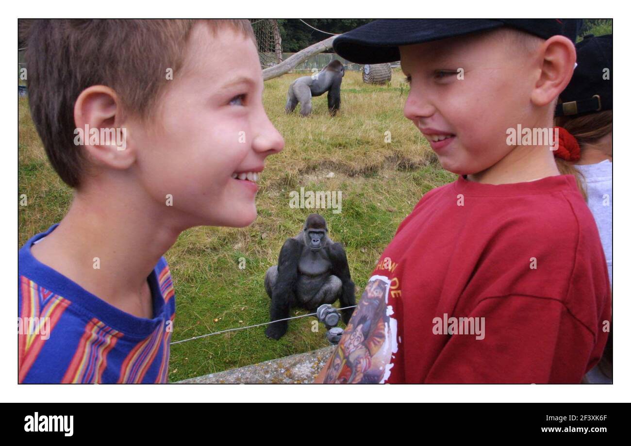 Dodici bambini bielorussi, tutti affetti da un sistema immunitario soppresso a seguito del disastro nucleare di Chernobyl del 1986, hanno visitato oggi il parco di Port Lympne Wildlifelinefe come parte di un organo di vacanza di quattro settimane di Chernobyl Childrens Lifeline. LFT Aliaskandr Savenka 8 e rt Yauheni Kandratovich 9pic David Sandison 5/8/2002 Foto Stock