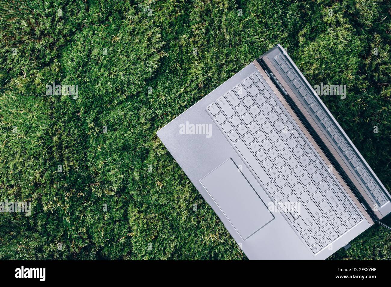 Consapevolezza, design biofilo, concetto di scollegamento. Computer, tastiera laptop su erba verde, muschio sfondo foresta. Vista dall'alto. Detox digitale. Estate Foto Stock
