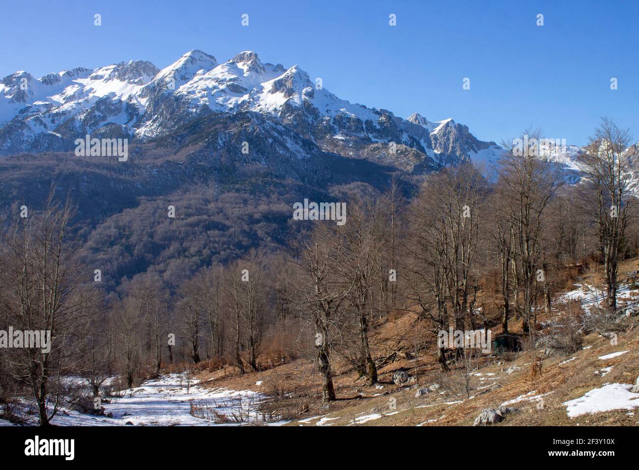 Mattina sulla valle di valbona Foto Stock