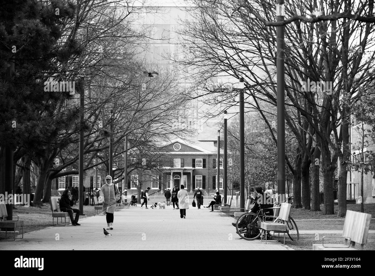 COVID-19 VITA QUOTIDIANA A TORONTO, CANADA Foto Stock