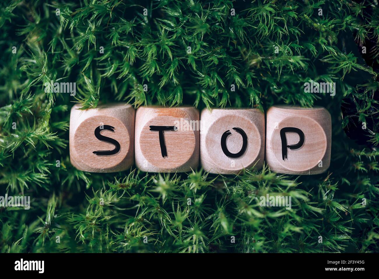 Cubetti di legno con parola Stop su erba verde, sfondo muschio foresta. Vista dall'alto. Spazio di copia. Arresto del testo sui blocchi Craft. Ecologia, organico, zero rifiuti Foto Stock
