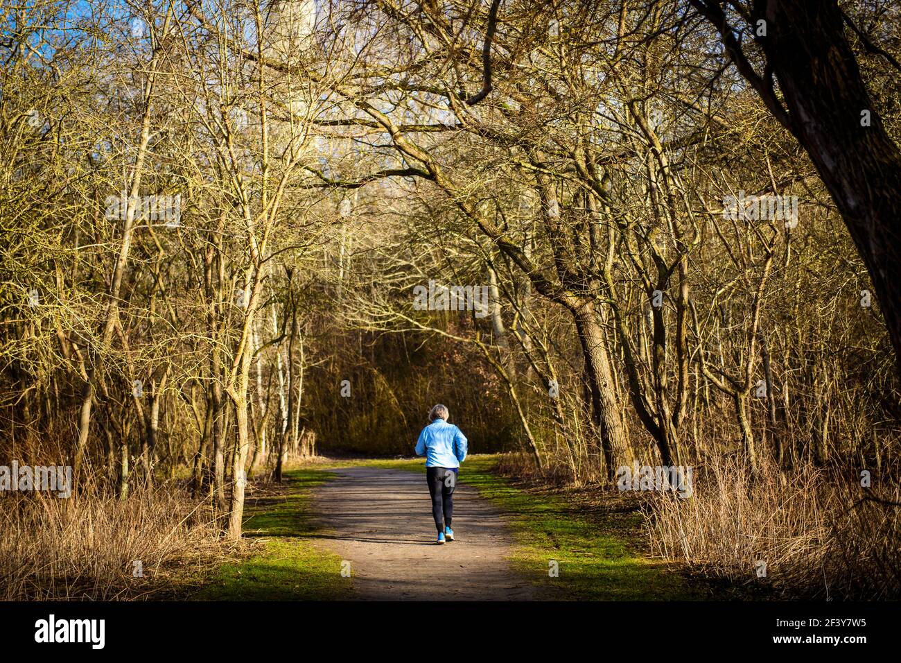 Ejby Mose è una zona paludosa del distretto di Glostrup, in Danimarca Foto Stock