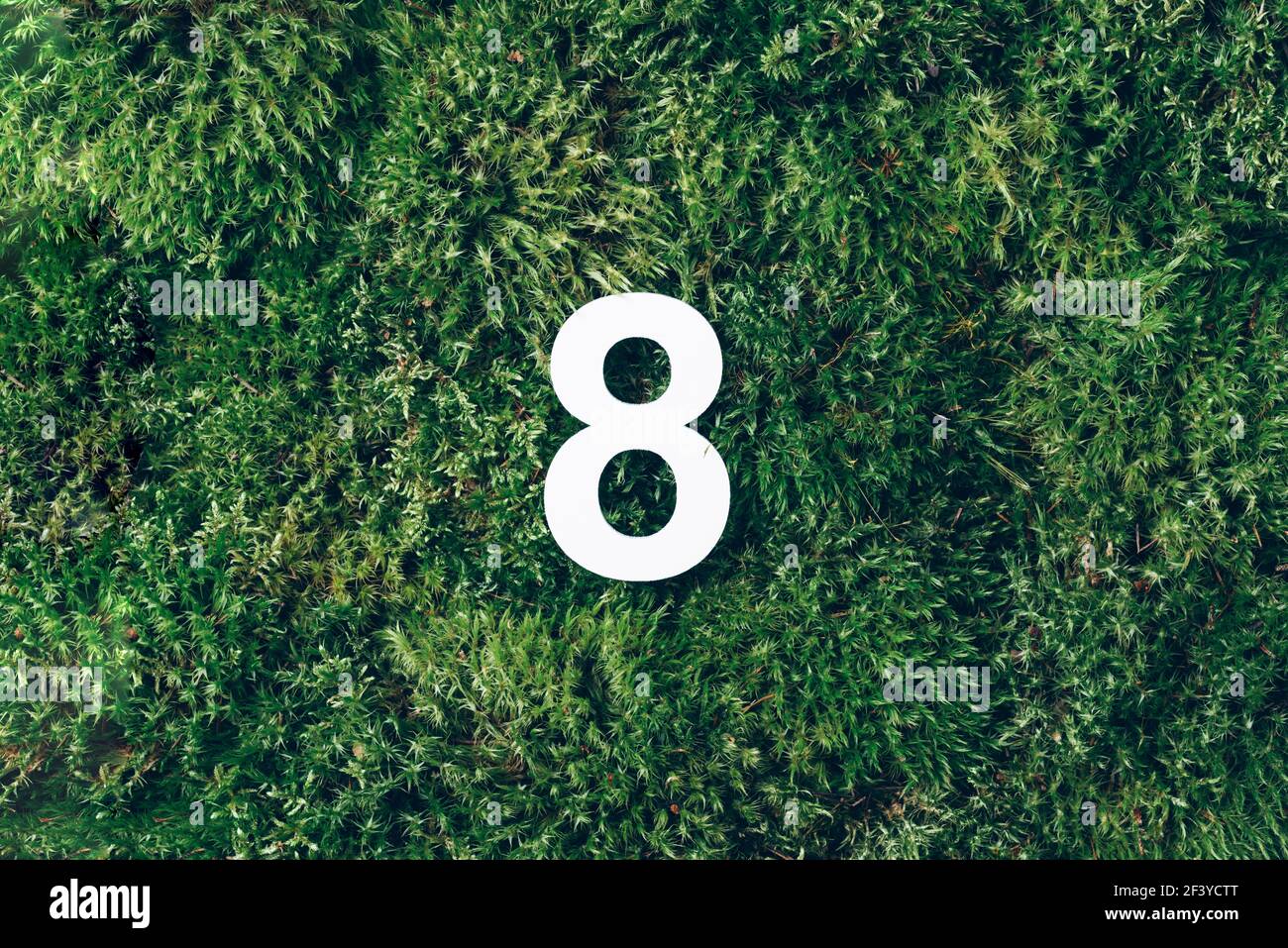8 marzo. Buona giornata delle donne. Ecologia, zero sprechi. Erba verde e cifra otto 8. Biglietto di auguri per compleanno. Concetto di anniversario. Vista dall'alto. Numero bianco Foto Stock