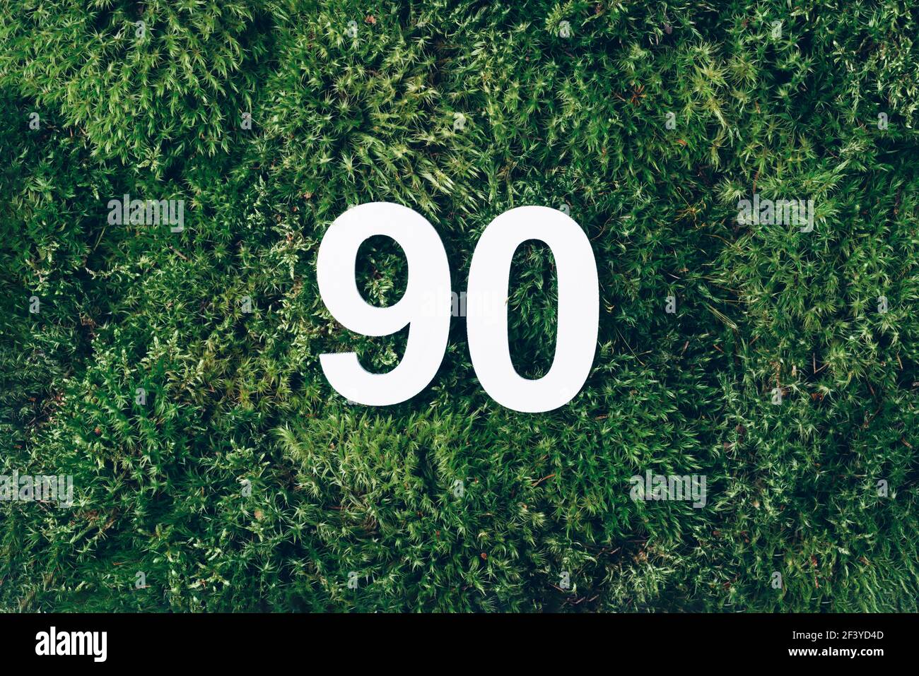 Erba verde, cifra novanta. Biglietto d'auguri per compleanno con iscrizione 90. Concetto di anniversario. Vista dall'alto. Numero bianco su sfondo eco muss. Numerico Foto Stock