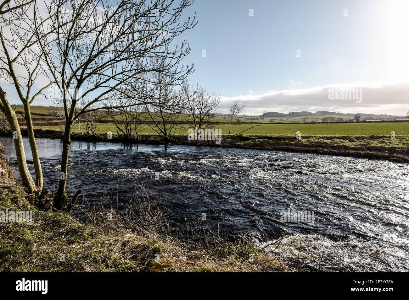 Vista pomeridiana sul fiume Doon verso la campagna scozzese vicino Il villaggio Ayrshire di Dalrymple Foto Stock