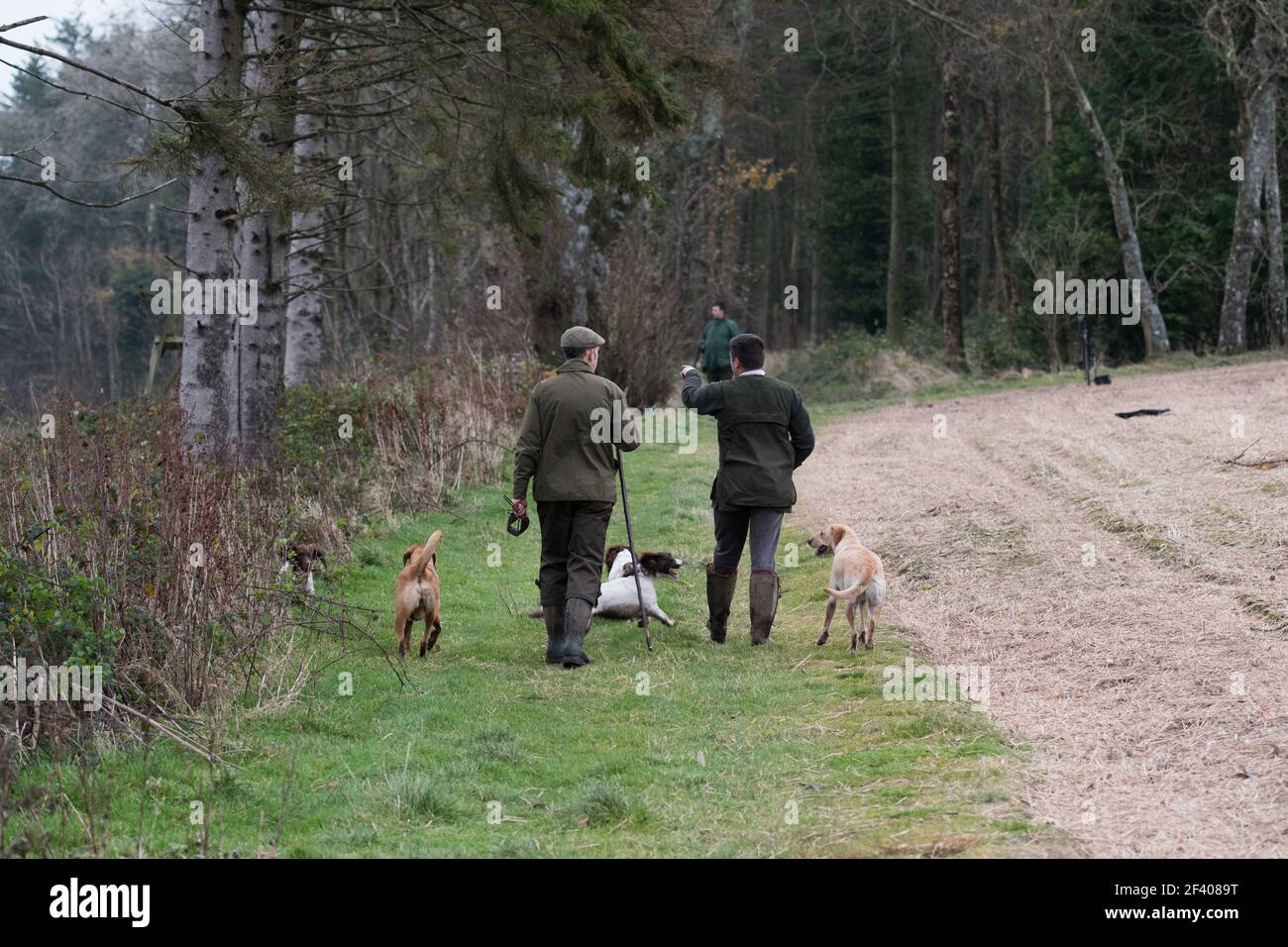 I raccoglitori finiscono un azionamento e si dirigono verso il prossimo Foto Stock