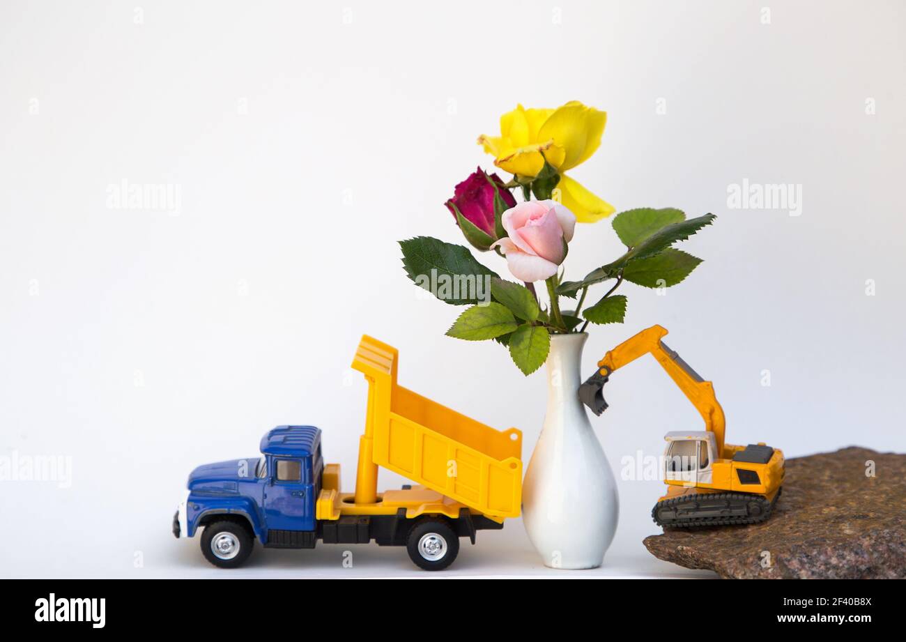 3 rose multicolore in un piccolo vaso bianco vicino a un giocattolo di costruzione attrezzature - un escavatore e camion di scarico. affari - congratulazioni, vacanza, giorno Foto Stock
