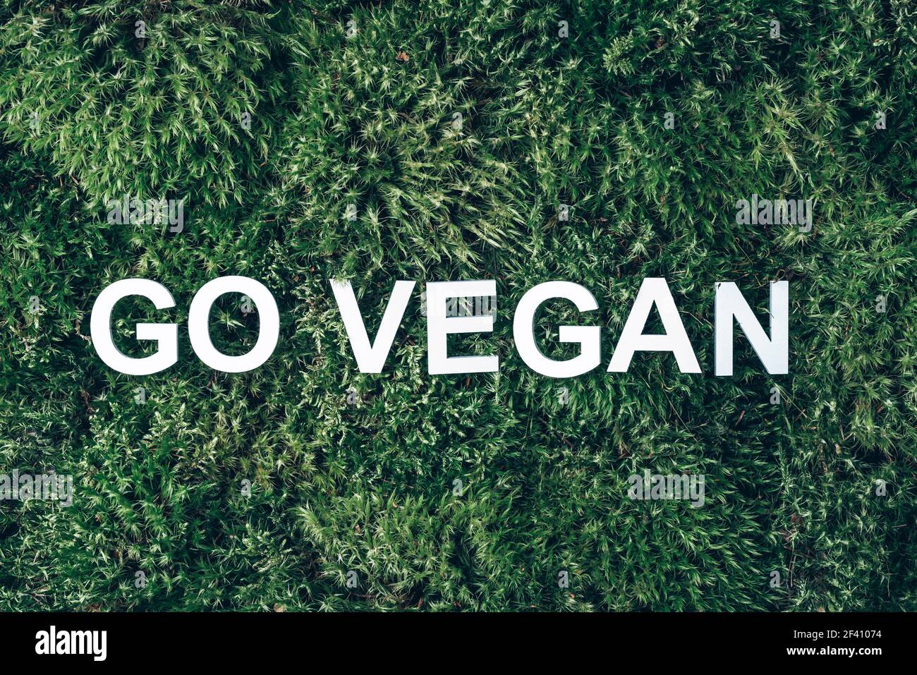 Parola andare vegan su muschio, verde erba sfondo. Vista dall'alto. Spazio di copia. Banner. Concetto di biofilia. Natura sfondo Foto Stock