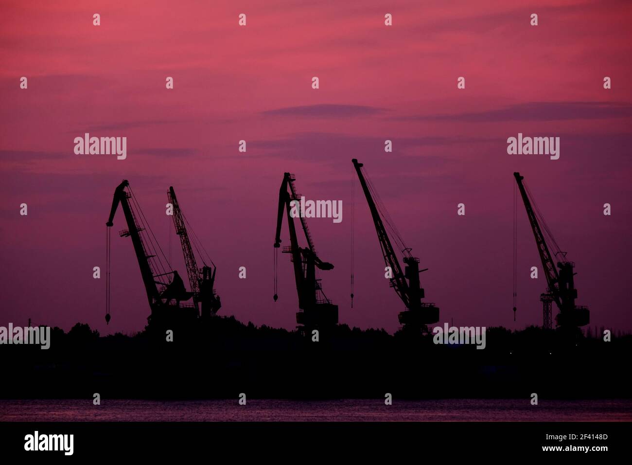 Cinque silhouette di gru a pontile di fronte al cielo rosa tramonto con ...