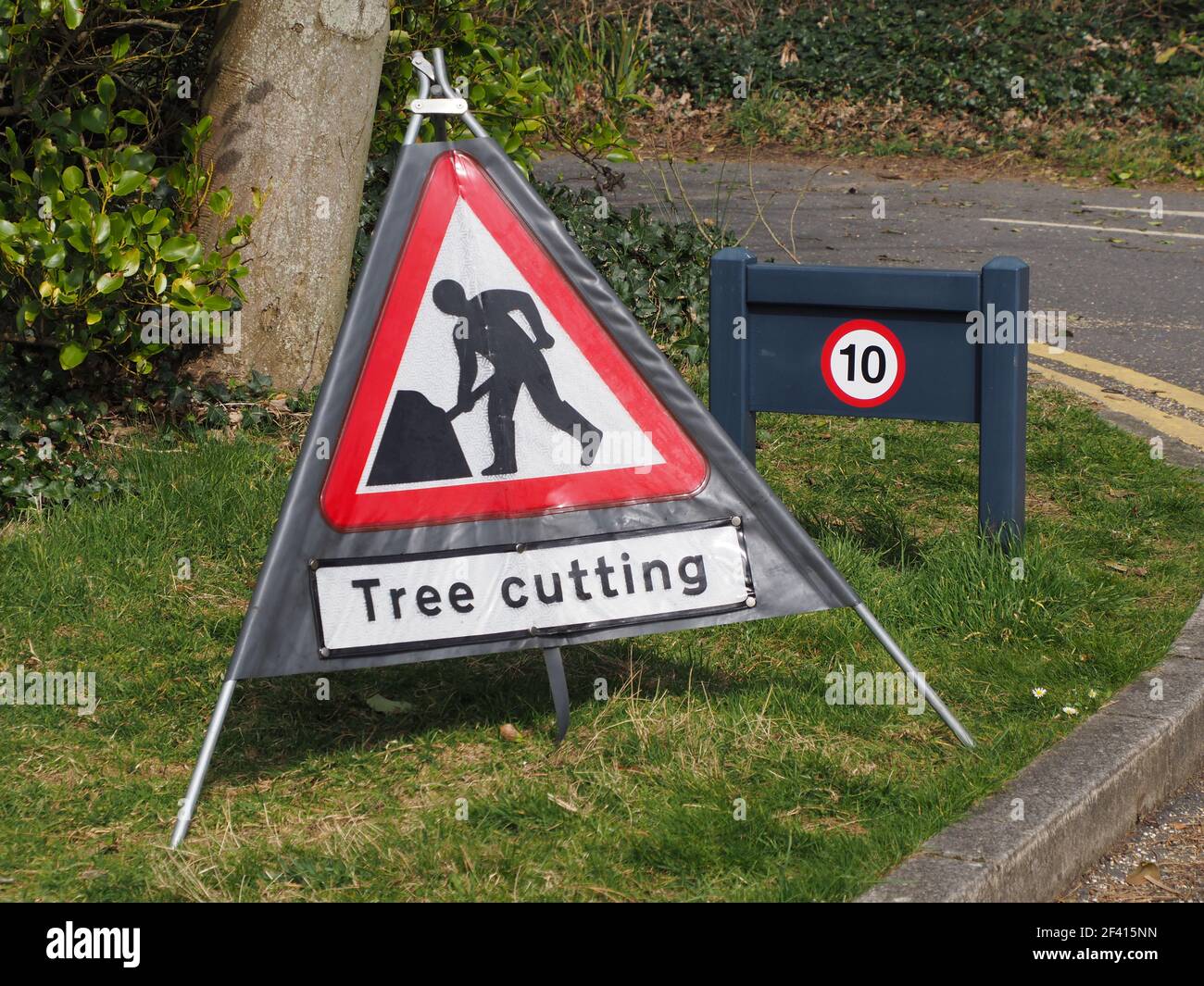 Cartello segnaletico del taglio dell'albero Foto Stock