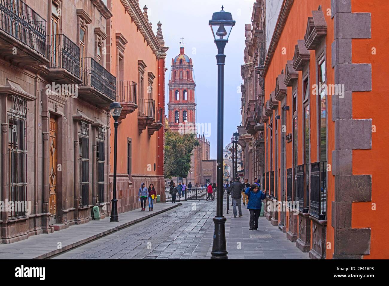 Catedral Metropolitana de San Luis Rey / Cattedrale di San Luis Potosi nel centro della città coloniale di San Luis Potosi, Messico centrale Foto Stock