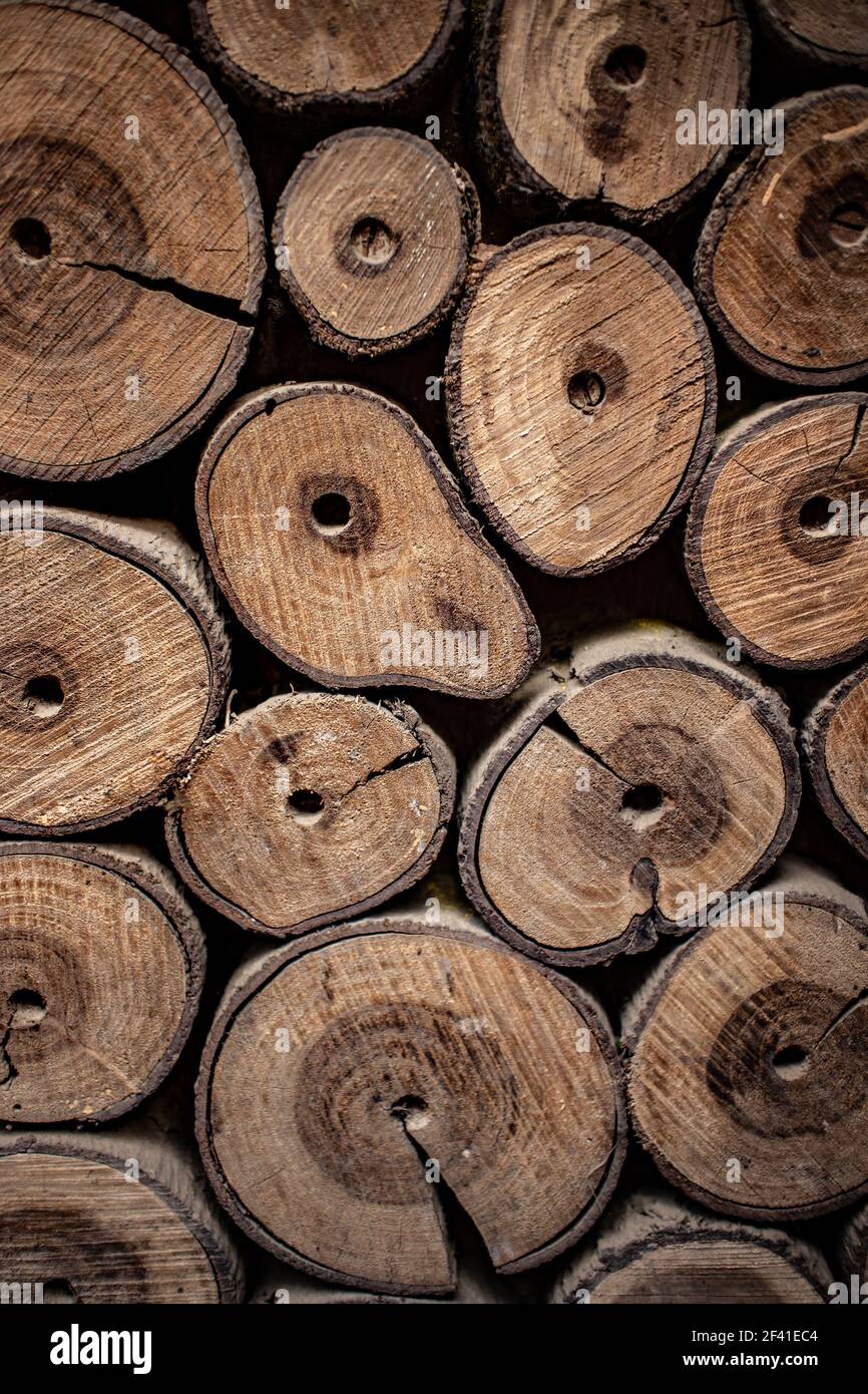 In legno log naturale come sfondo Foto Stock