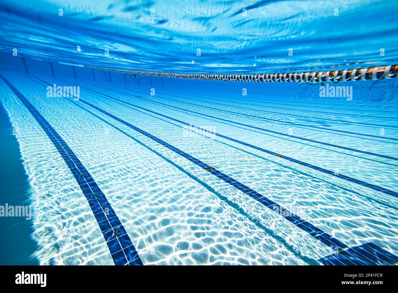 Piscina olimpionica sfondo subacqueo. Foto Stock