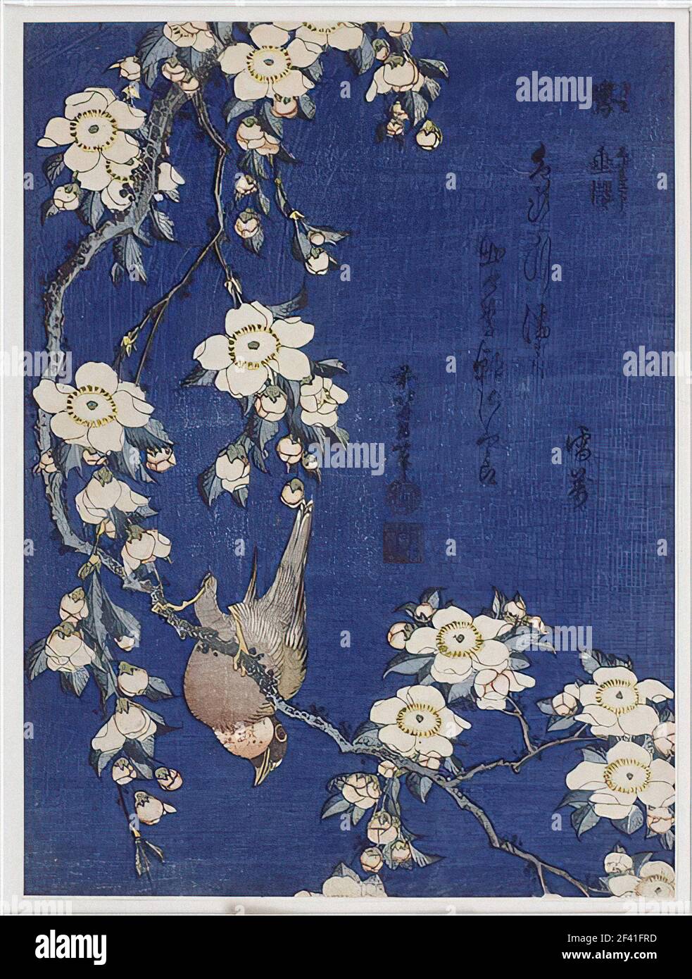 Katsushika Hokusai. Bullfinch e ciliegio piangente (OSU, shidarezakura), da  un untitled serie di fiori e uccelli. 1829-1839. Il Giappone. Colore stampa  woodblock; chuban Foto stock - Alamy