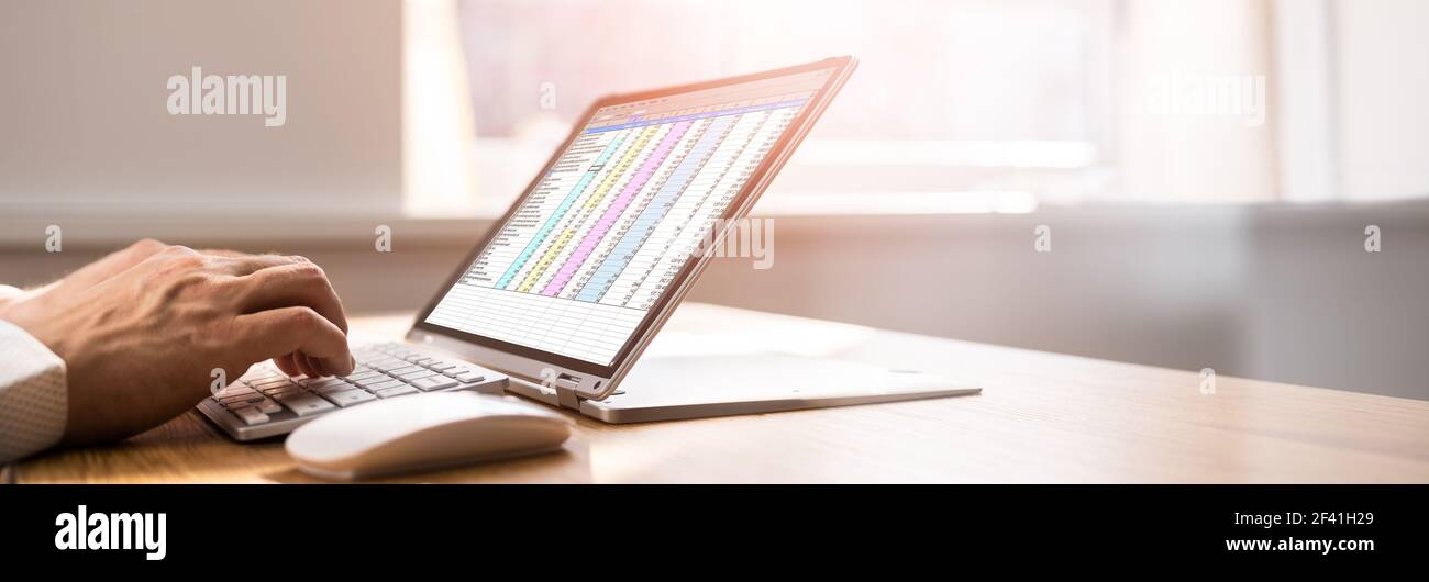 Spreadsheet Business Data Analyst utilizzando lo schermo del computer Foto Stock