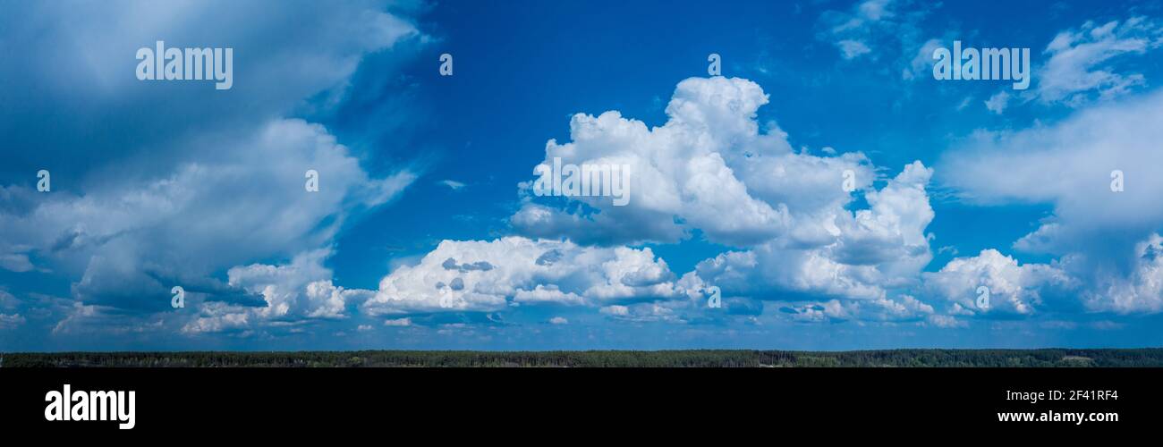 Vista panoramica del cielo nuvoloso su verdi cime di alberi . Bella natura sfondo. Foto Stock