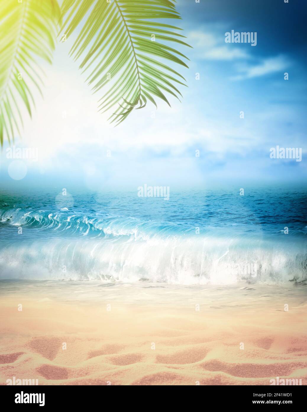 Ramo di Palm sulla spiaggia di sabbia. Ora legale. Foto Stock