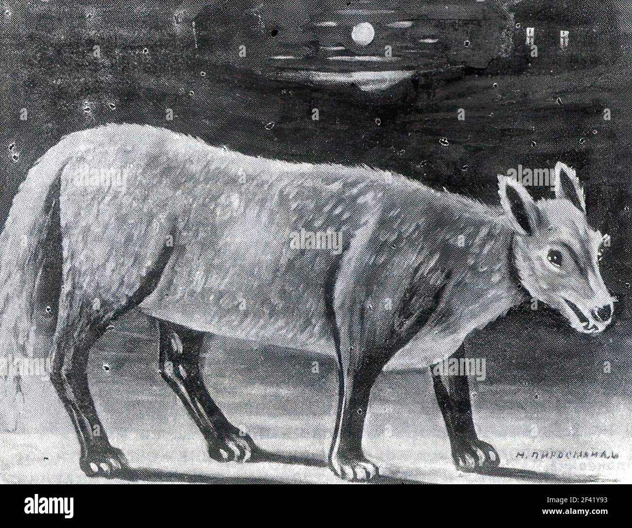 Niko Pirosmani - Jackal Foto Stock