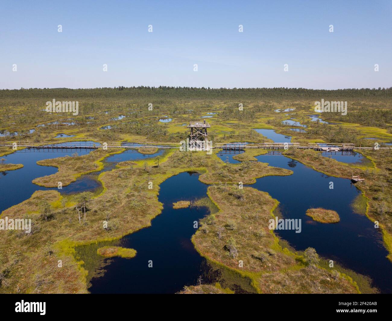 Riserva naturale di Endla in Estonia Foto Stock