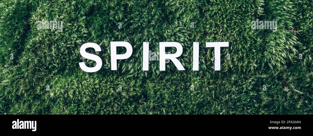 Parola Spirito su muschio, sfondo verde erba. Vista dall'alto. Spazio di copia. Banner. Tendenza della biofilia. Natura sfondo. Concetto di corpo, mente e spirito. Corpo, mente Foto Stock
