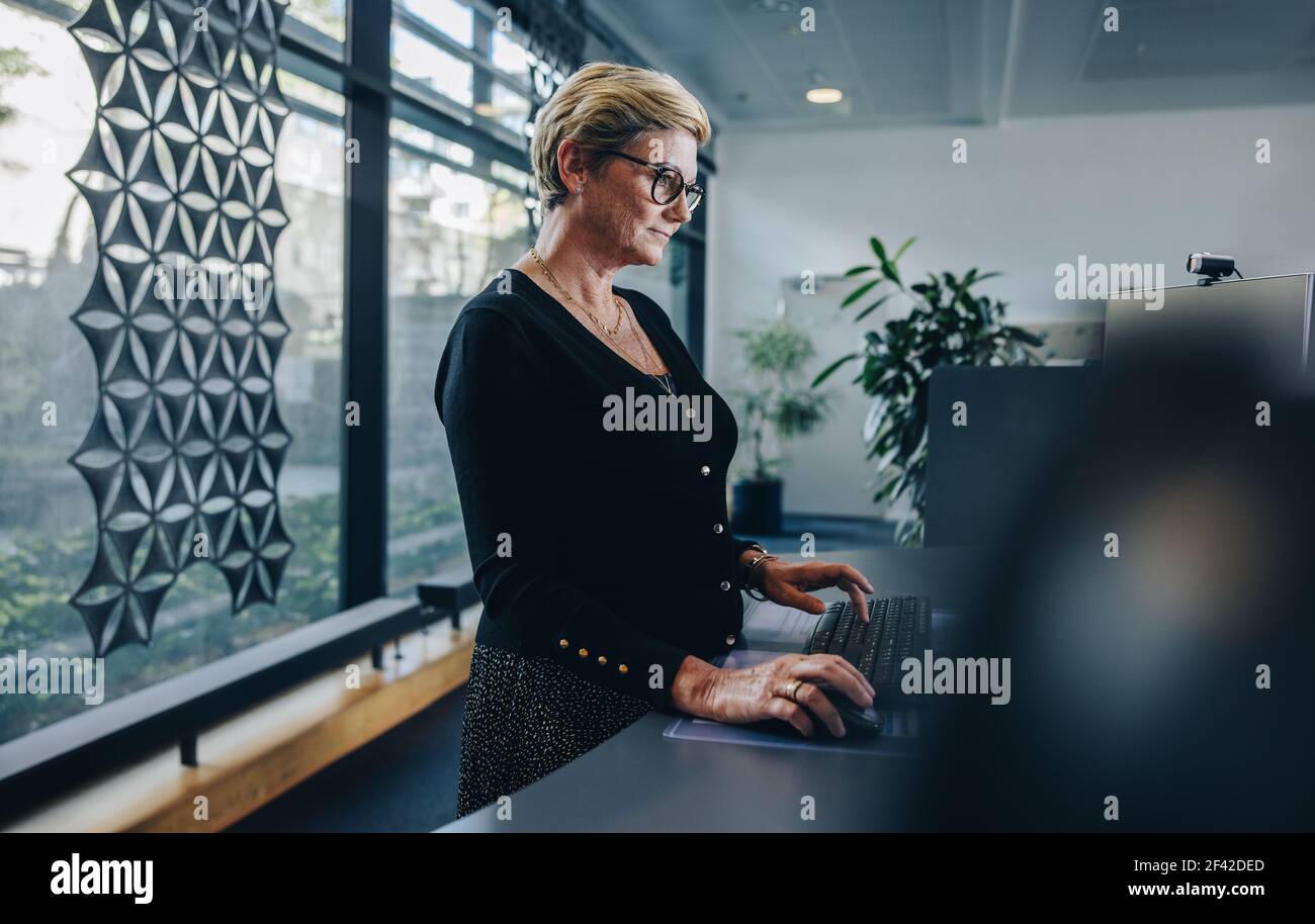 Donna d'affari anziana che lavora alla scrivania. Donna dipendente che lavora su un computer desktop alla scrivania ergonomica. Foto Stock