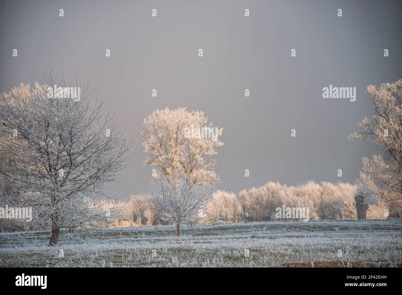 Paesaggio delle meraviglie invernali Foto Stock