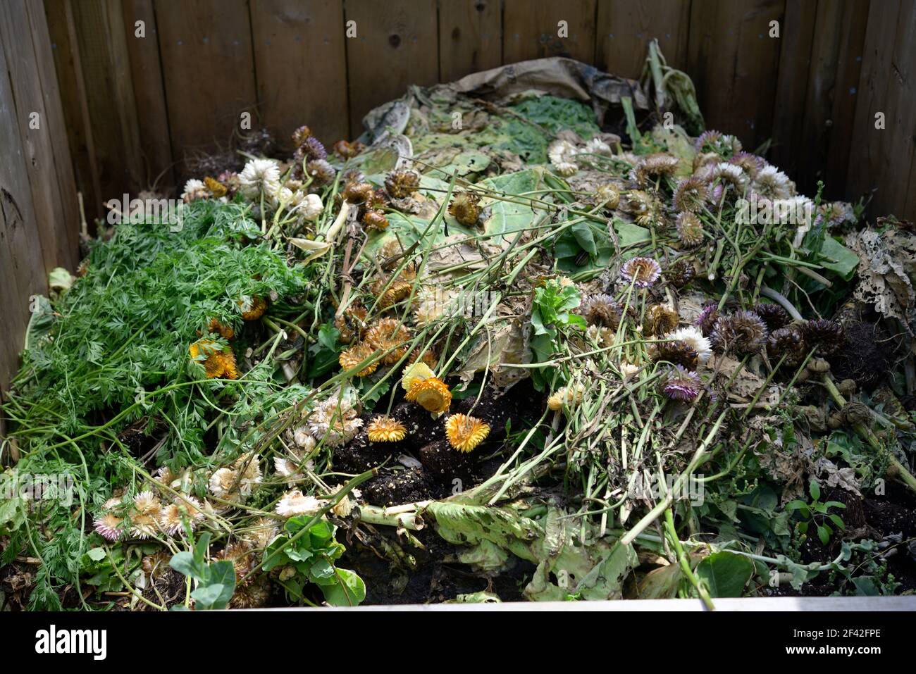 compostore giardino con materia floreale e vegetale Foto Stock