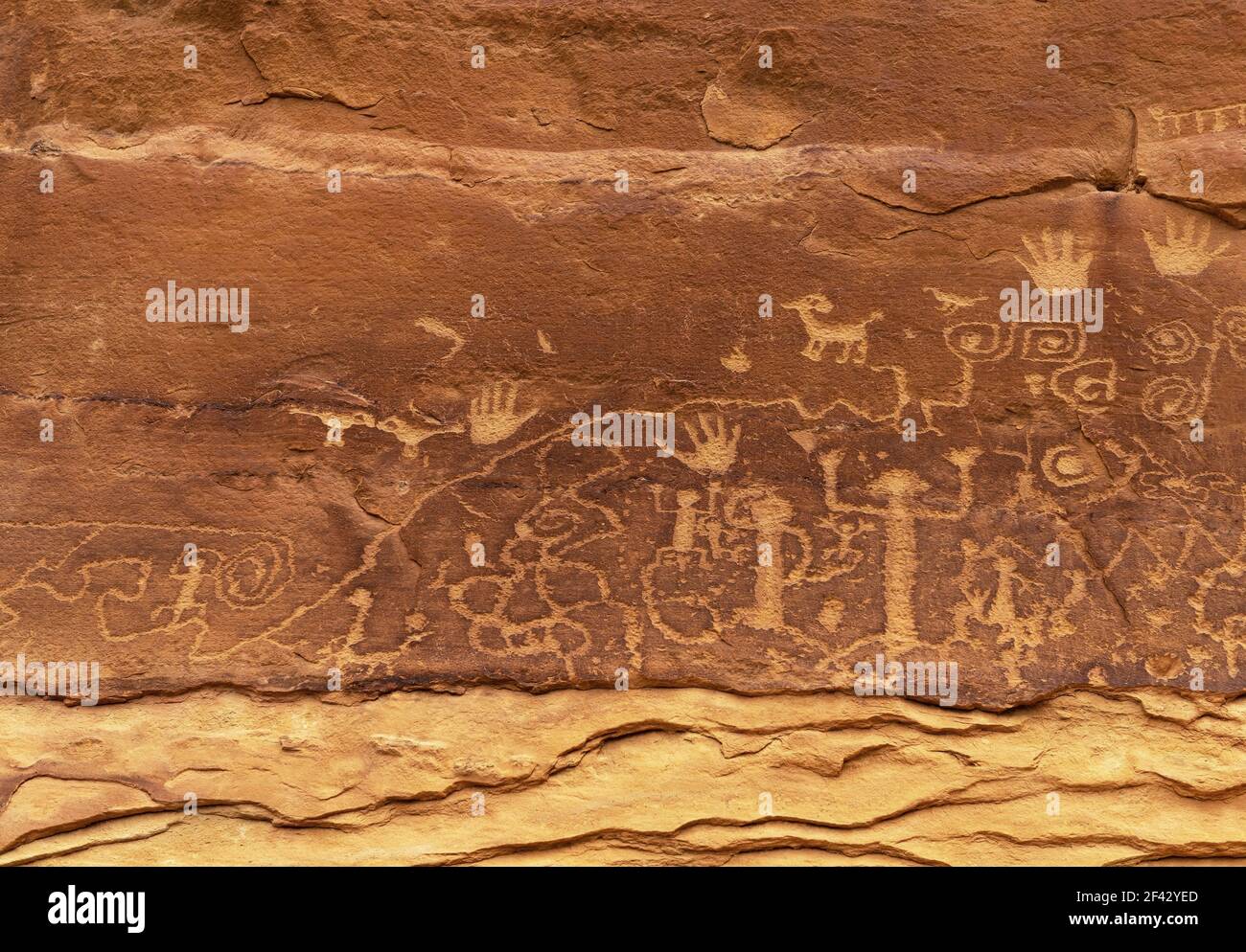 Petroglyph piecato in roccia da Pueblo nativi americani lungo il percorso del punto di petroglifico, Mesa Verde National Park, Colorado, Stati Uniti (USA). Foto Stock