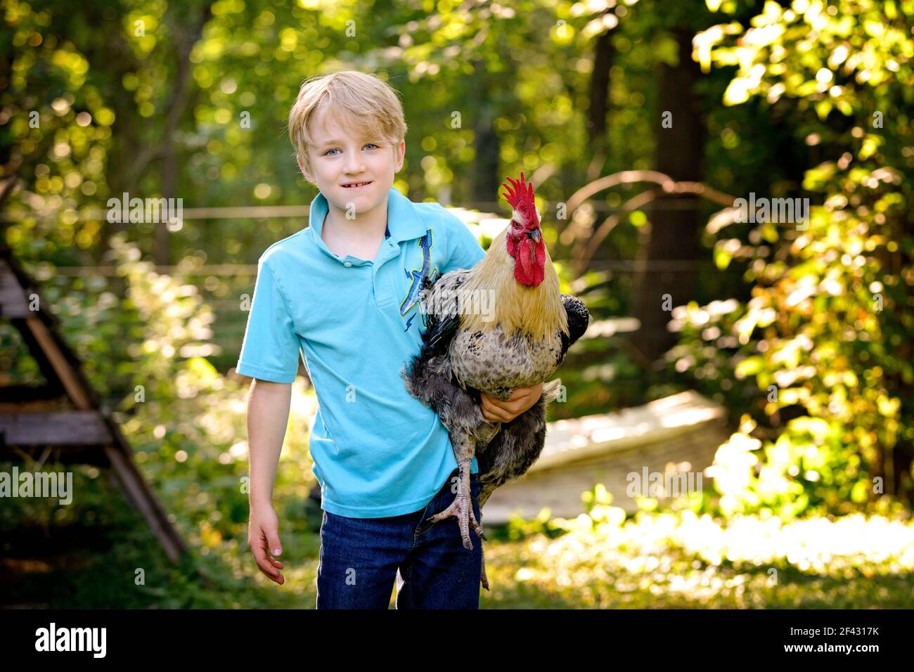 Bel ragazzo biondo che tiene un gallo nella fattoria. Foto Stock