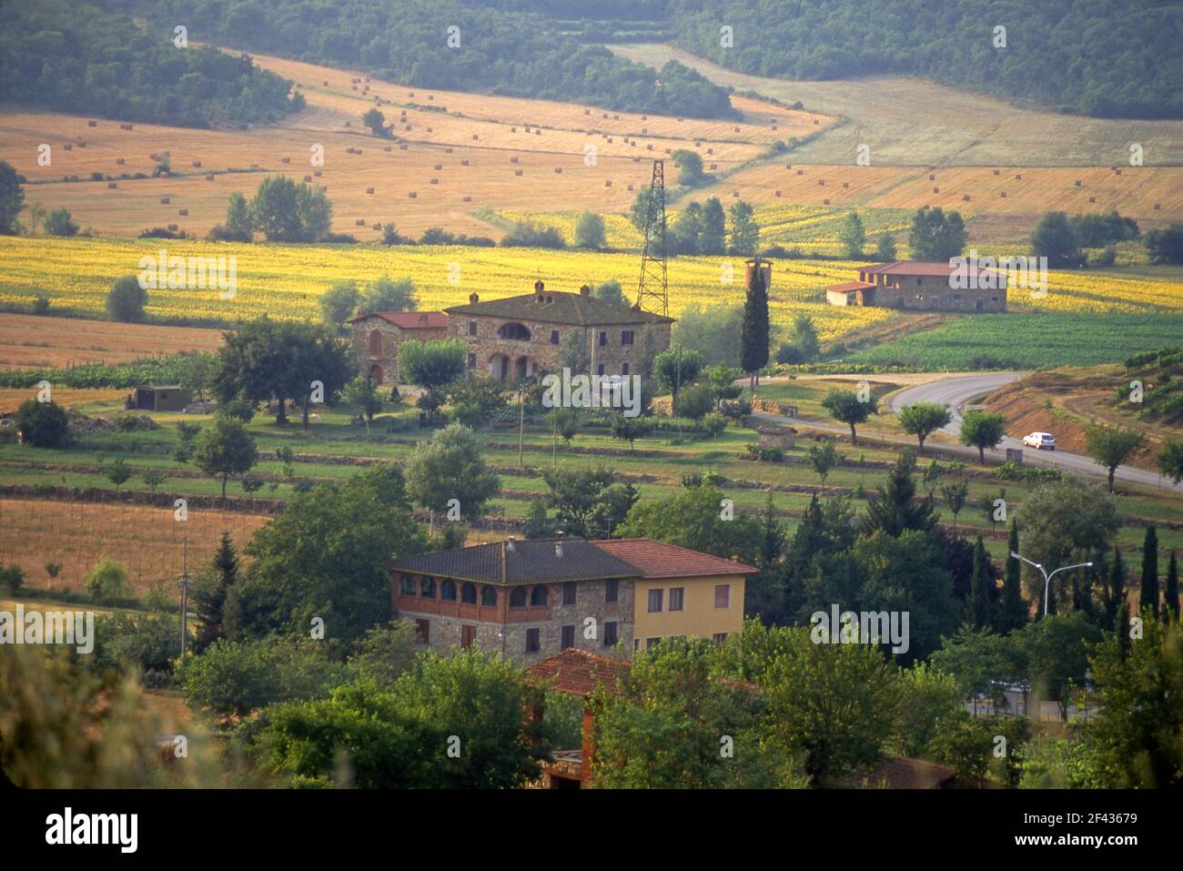 Case coloniche classiche e paesaggio agricolo nella Toscana del Valdarno Foto Stock Case coloniche classiche e paesaggio agricolo nella Toscana del Valdarno Foto Stock