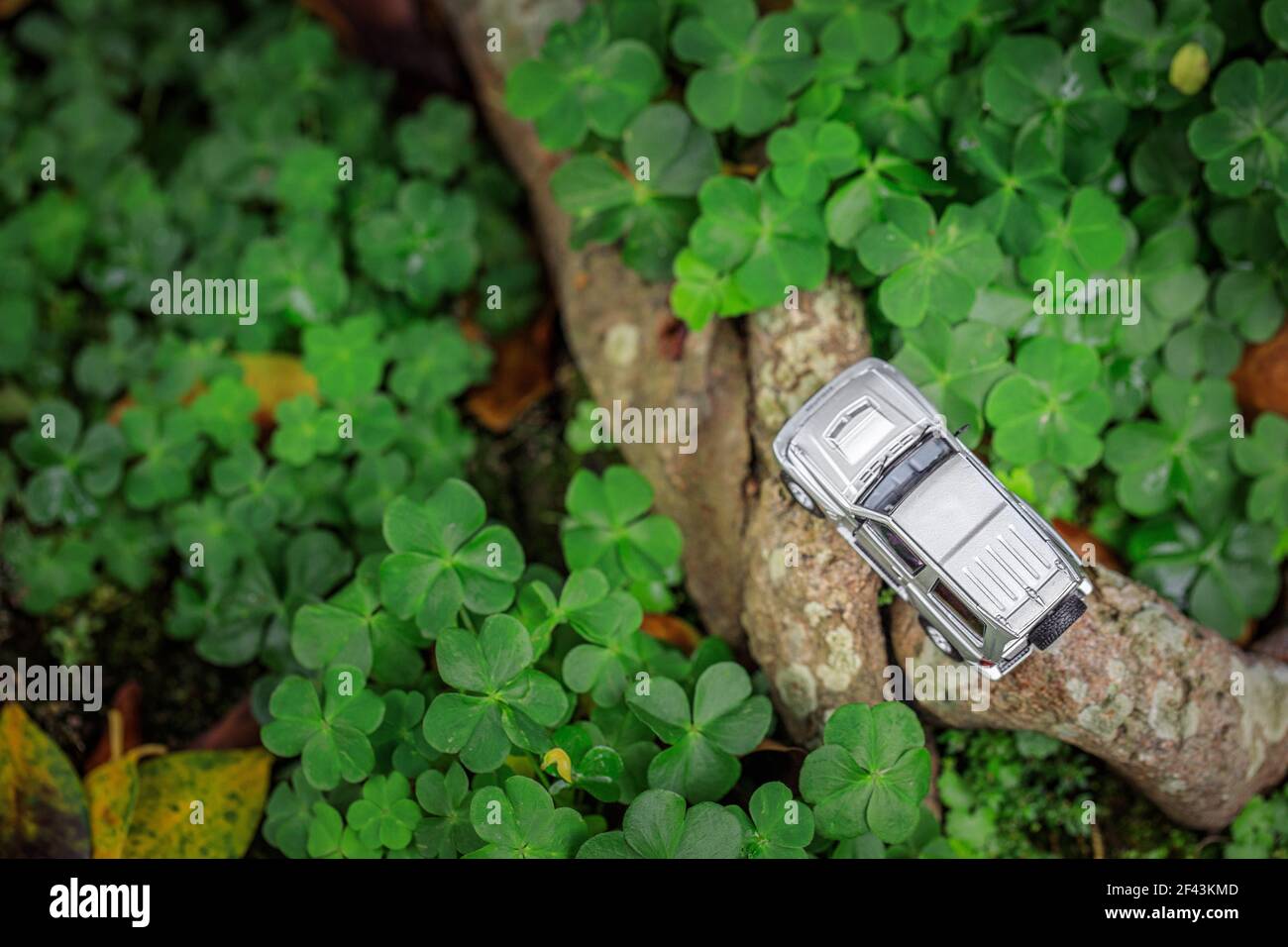 Divertente concetto di avventura SUV nella grande, macchina giocattolo in miniatura in giardino, vista dall'alto, all'aperto di giorno Foto Stock