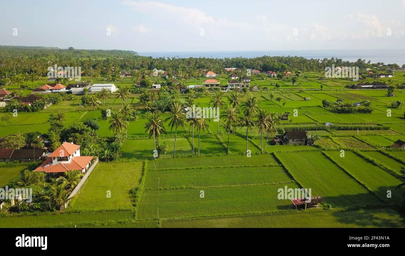 Vista aerea di un ricefield e ville a Canggu al tramonto, Bali Foto Stock