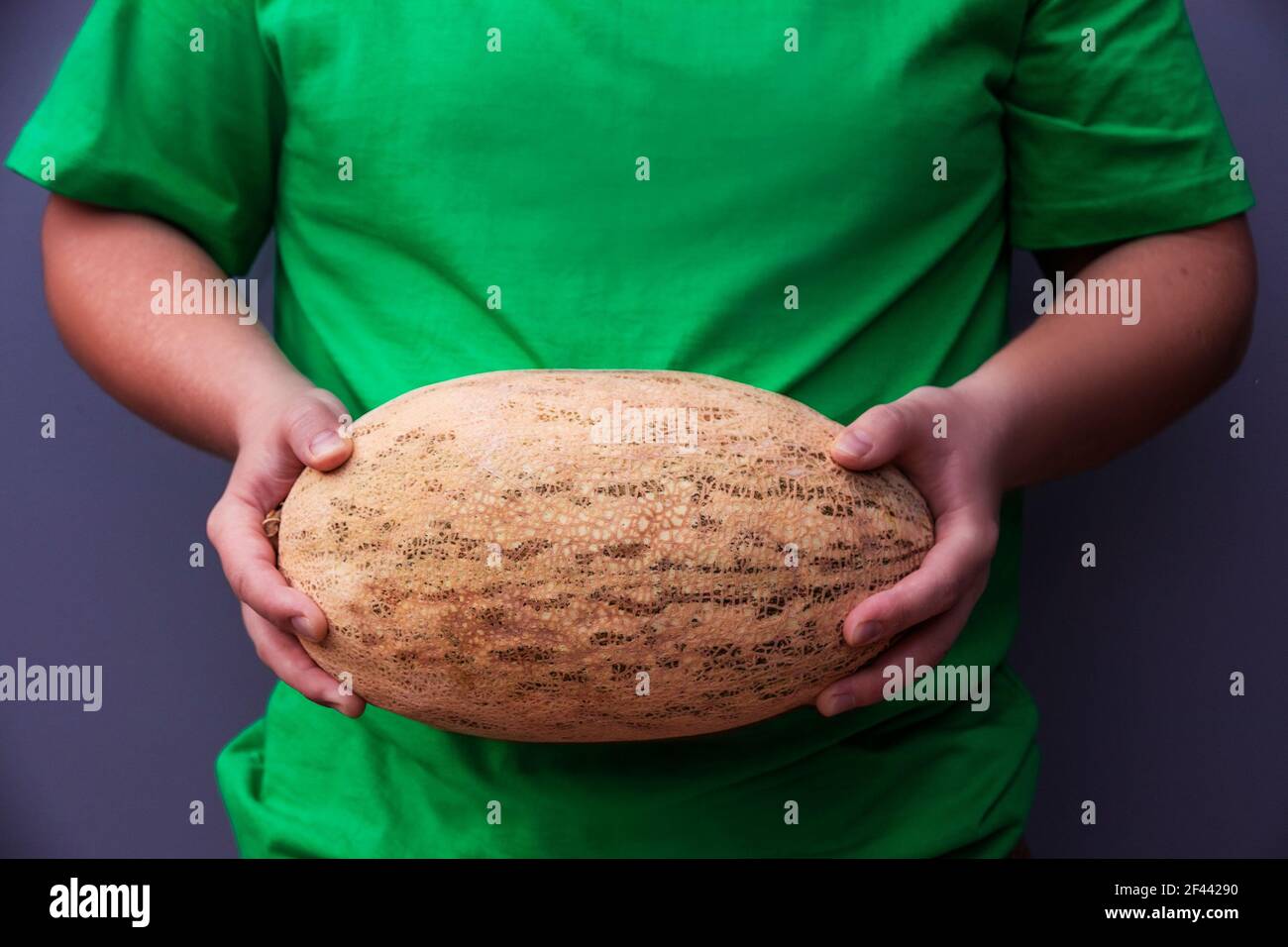 Il giovane tiene un grande melone ovale arancio maturo. Prodotti agricoli utili. Vendemmia dal campo e serre Foto Stock