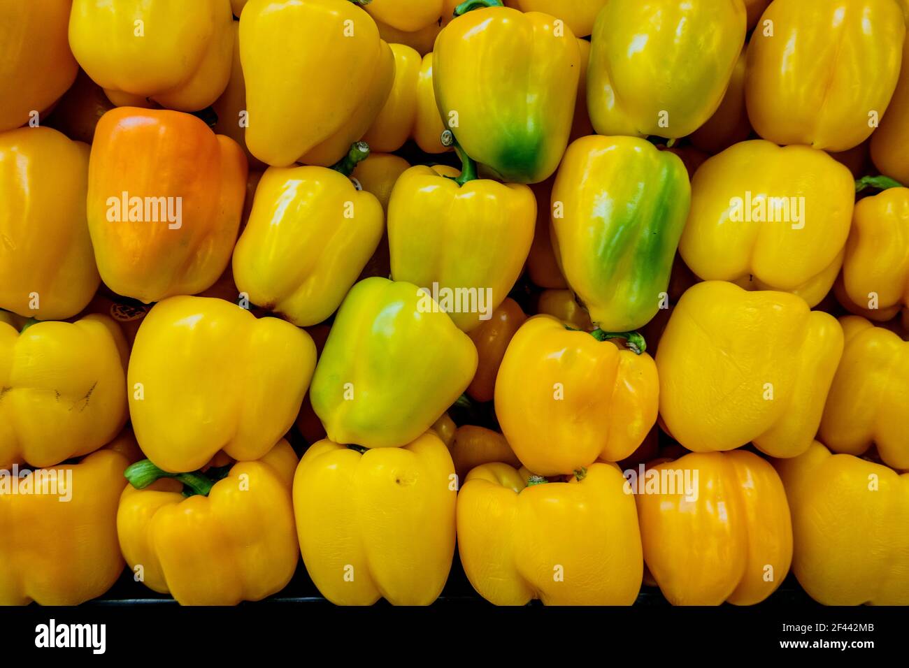 Giallo i peperoni in un palo pronto per la vendita. Foto Stock