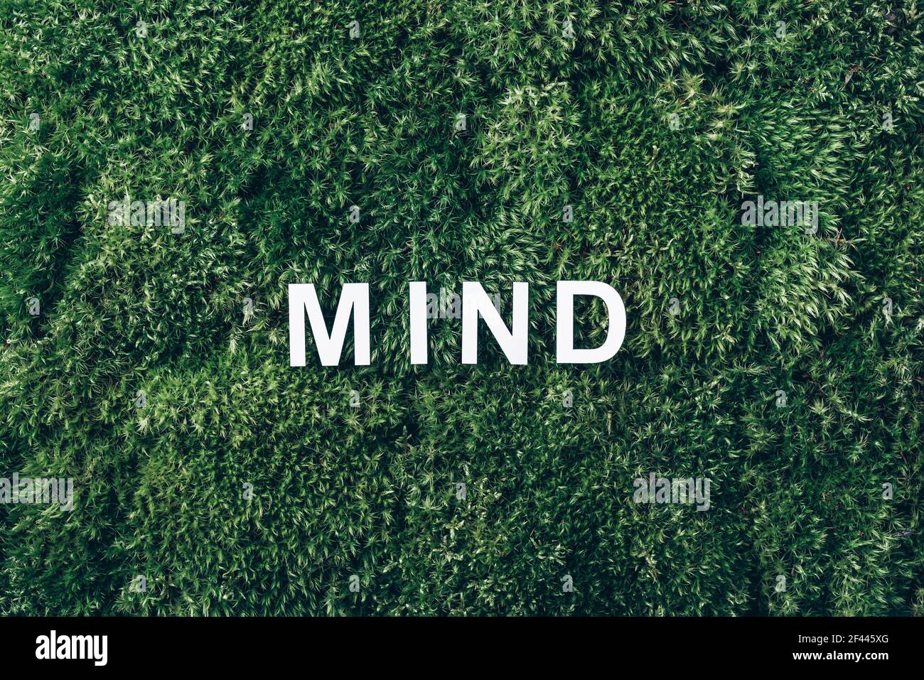 Parola mente su muschio, sfondo verde erba. Vista dall'alto. Spazio di copia. Banner. Concetto di biofilia. Natura sfondo. Concetto di corpo, mente, spirito e anima Foto Stock