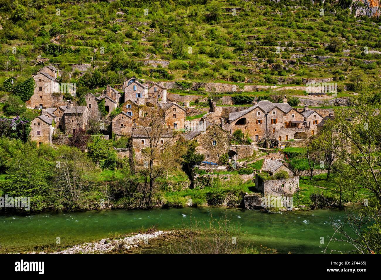 Frazione di Hauterives, fiume Tarn, Gorges du Tarn, comune Gorges du Tarn Causses, dipartimento Lozere, regione Occitanie, Francia Foto Stock