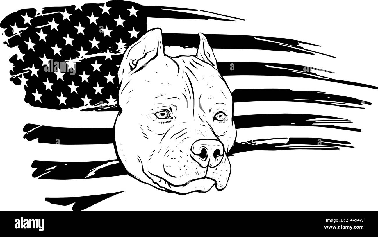 Disegnare in bianco e nero di testa pitbull con americano illustrazione del vettore di flag Illustrazione Vettoriale