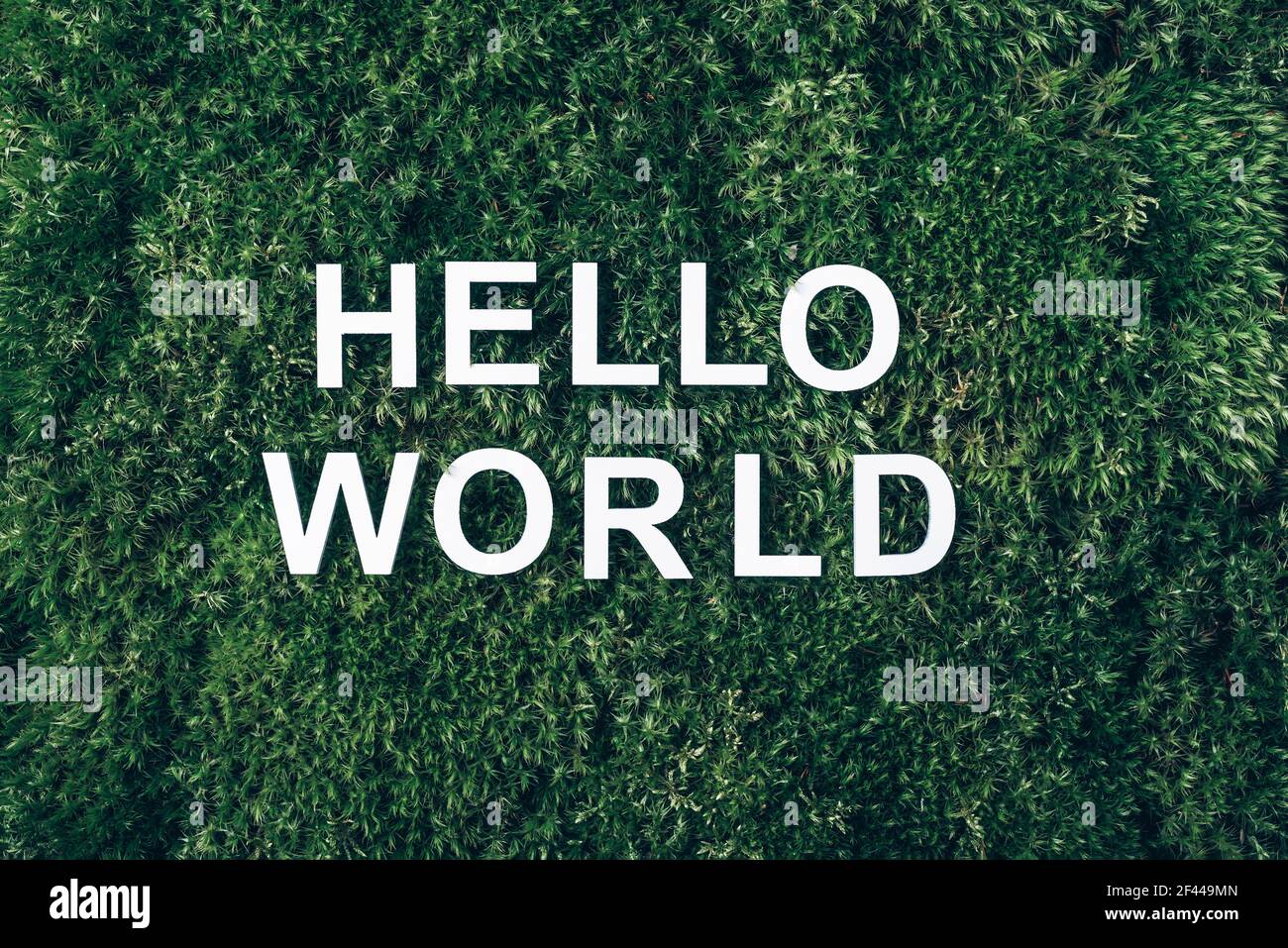 Iscrizione Ciao mondo su muschio, verde erba sfondo. Vista dall'alto. Spazio di copia. Banner. Concetto di biofilia. Natura sfondo Foto Stock