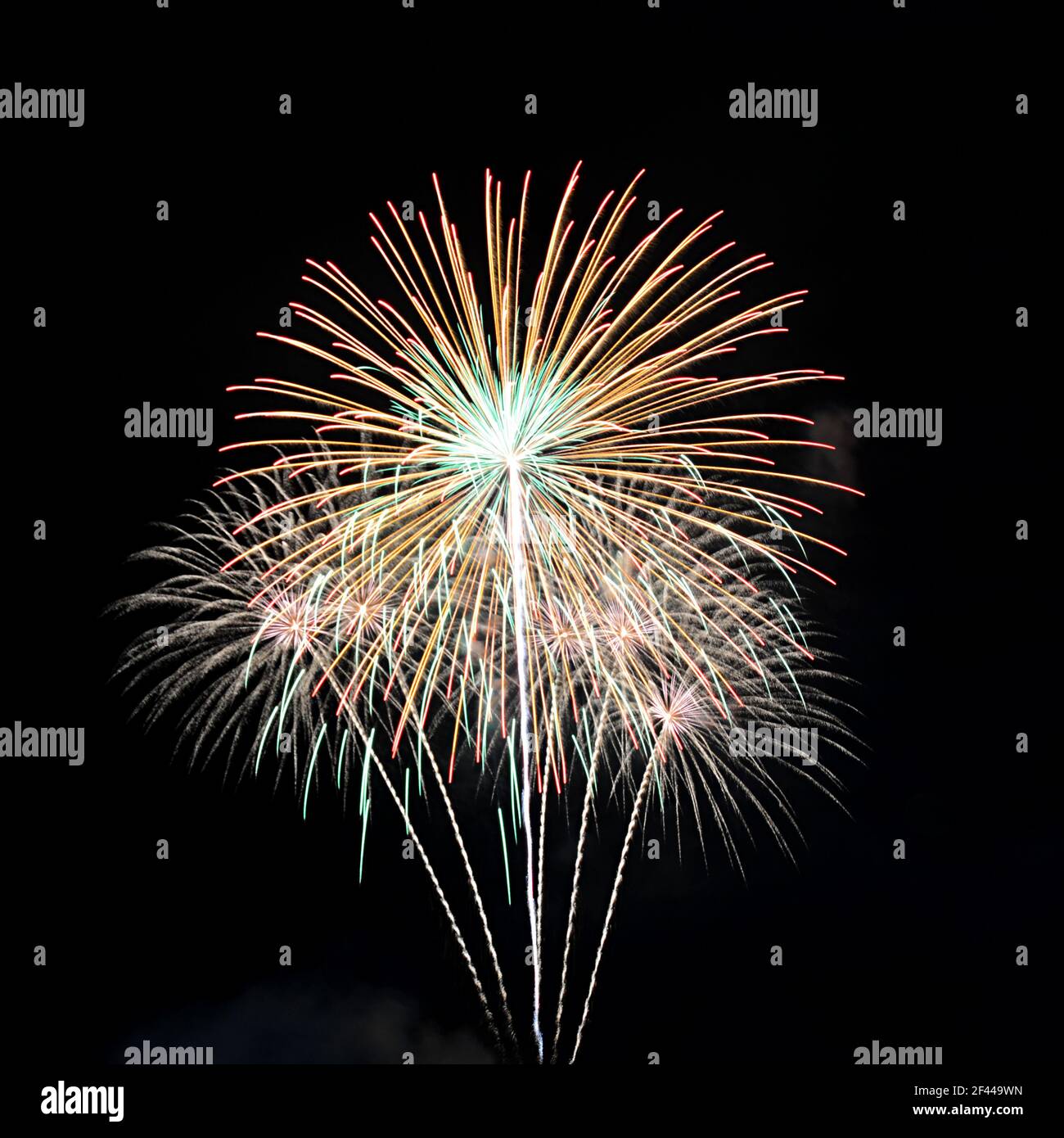 Magnifici fuochi d'artificio Foto Stock