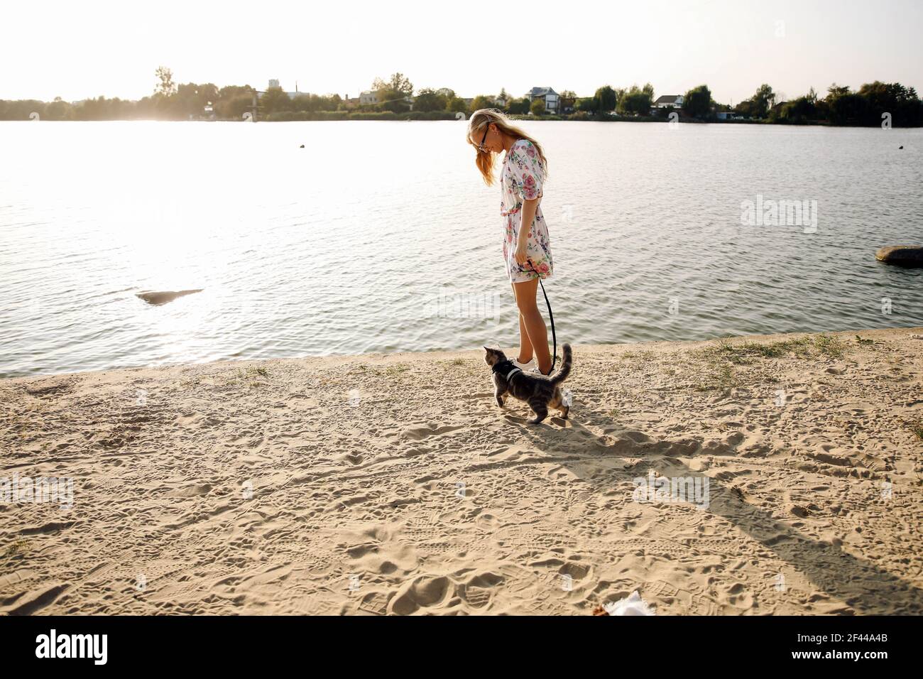 Giovane bionda, donna, ragazza che cammina sulla spiaggia in primavera in un vestito con un gatto in una giornata di sole Foto Stock