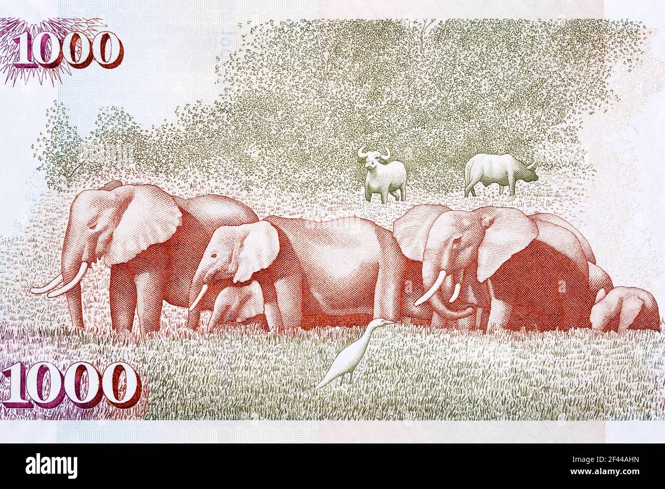 Elefanti africani da vecchi soldi kenioti Foto Stock